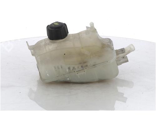 Used Expansion tank RENAULT MEGANE III Grandtour (KZ0/1) 1.5 dCi (KZ09, KZ0D, KZ1G, KZ29, KZ14, KZ1W, KZ10, KZ1F,... (110 hp) 17380162