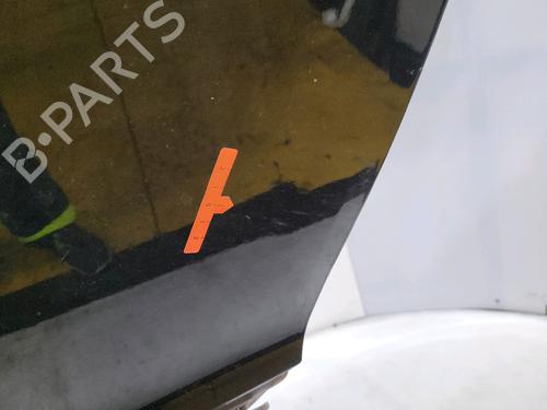 Left front door RENAULT MEGANE III Coupe (DZ0/1_) 1.5 dCi (DZ09, DZ0D, DZ1F, DZ1G, DZ14, DZ29) | BP29443731C2 