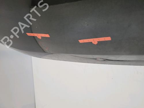 Tailgate DACIA SANDERO II 1.5 dCi | BP31304117C6