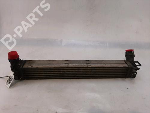 Used Intercooler Intercooler RENAULT MEGANE III Coupe (DZ0/1_) 1.5 dCi (DZ09, DZ0D, DZ1F, DZ1G, DZ14, DZ29) (110 hp) 11186638 11186638