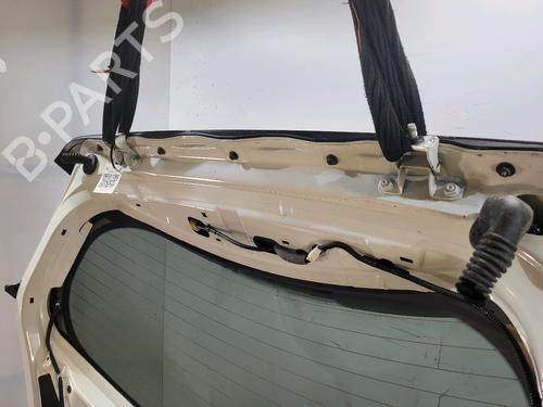 Tailgate NISSAN LEAF (ZE0) Electric | BP25345034C6 