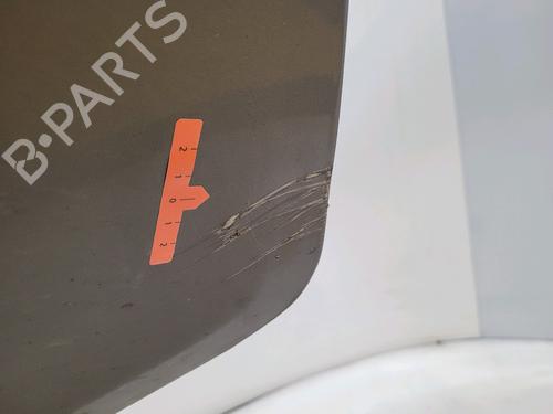 Dør høyre foran RENAULT CLIO III (BR0/1, CR0/1) 1.5 dCi (C/BR0G, C/BR1G) | BP30054210C3 