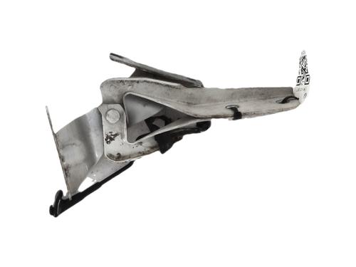 Used Hinge/Door check strap Hinge/Door check strap 36898589 36898589