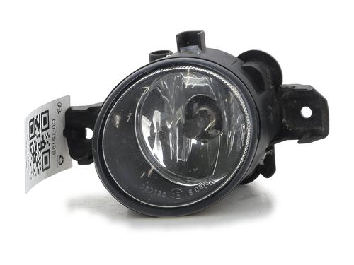 Nebelscheinwerfer rechts für RENAULT CLIO II (BB_, CB_) 1.2 16V (BB05, BB0W, BB11, BB27, BB2T, BB2U, BB2V, CB05,... (75 hp) 29578883