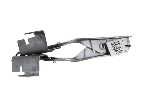 Hinge/Door check strap RENAULT CLIO IV (BH_) 1.2 TCe 120 (BHM0) | BP27914525C146 