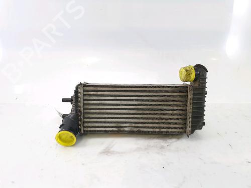 Used Intercooler FORD TRANSIT CONNECT V408 Box Body/MPV [2013-2025]  25453202