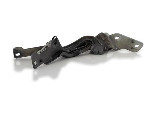 Hinge/Door check strap RENAULT CLIO III (BR0/1, CR0/1) 1.5 dCi (BR17, CR17) | BP27914968C146 