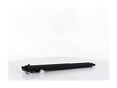 Tailgate lift support RENAULT SCENIC E-TECH PHASE I EV87 | BP37513265C138 - Image 3
