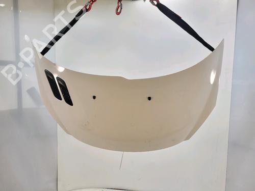 Used Hood PEUGEOT 206+ (2L_, 2M_) 1.4 HDi eco 70 (68 hp) 28536622