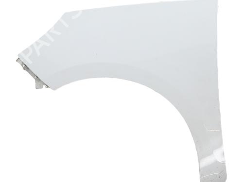 Left front fenders RENAULT SCÉNIC III (JZ0/1_) 1.5 dCi | BP30190523C41