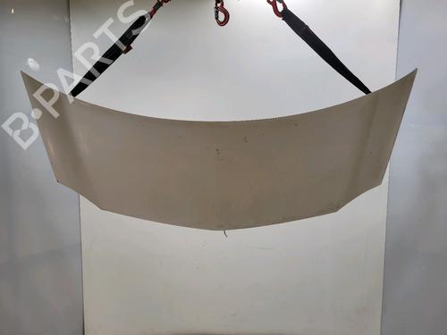 hood-renault-kangoo-express-fw01_-2008-30895572 main image