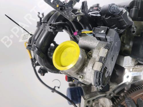 Motor FORD FIESTA VI (CB1, CCN) 1.25 | BP30367362M1