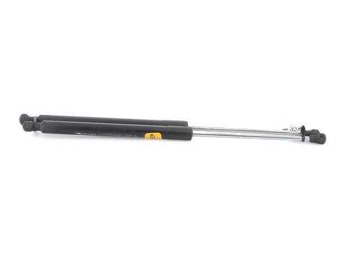Tailgate lift support RENAULT CLIO III (BR0/1, CR0/1)  | BP27913870C138 