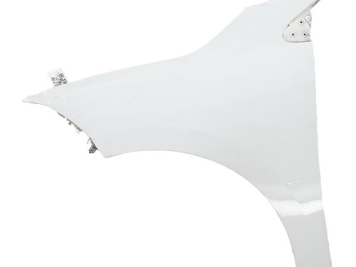 left-front-fenders-renault-megane-iii-hatchback-bz01_-b3_-2008-33533562 main image