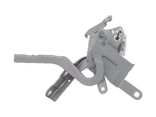 Used Hinge/Door check strap RENAULT CLIO IV (BH_) 1.5 dCi 90 (90 hp) 31699579