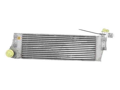 Intercooler RENAULT MEGANE II (BM0/1_, CM0/1_) 1.5 dCi (BM1F, CM1F) | BP30924909M30