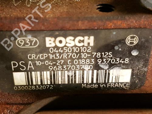Engine PEUGEOT 206+ (2L_, 2M_) 1.4 HDi eco 70 | BP31822003M1 