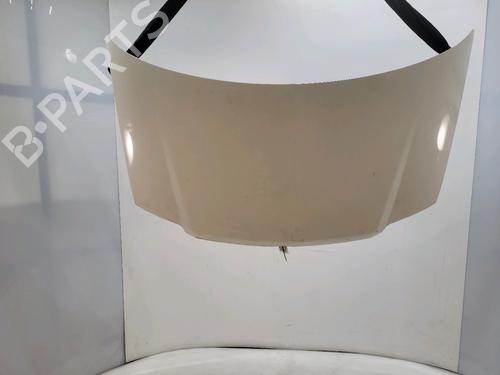 Used Hood FIAT PANDA (169_) 1.2 (169AXF2A, 169AXF1A) (69 hp) 30632789