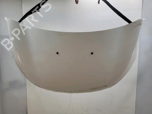 hood-dacia-lodgy-js_-2012-32460379 main image