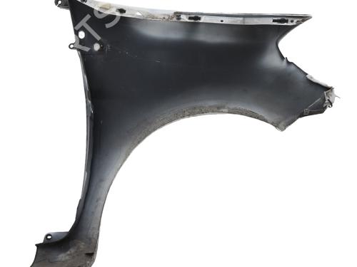 Left front fenders RENAULT CLIO III (BR0/1, CR0/1) 1.5 dCi (BR17, CR17) | BP29443426C41 