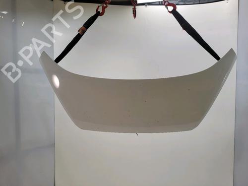 Used Hood Hood 36898413 36898413