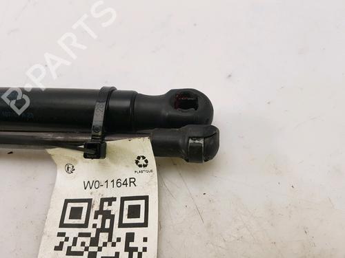 Tailgate lift support SEAT CORDOBA (6L2) 1.4 TDI | BP27916910C138 