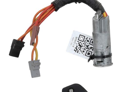Used Ignition barrel CITROËN BERLINGO / BERLINGO FIRST MPV (MF_, GJK_, GFK_) 1.9 D (MFWJZ) (70 hp) 29874934