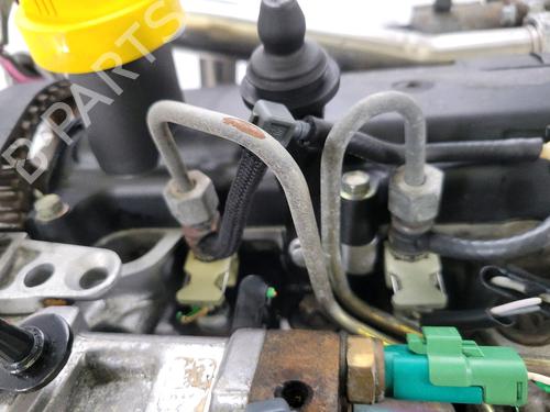 Engine RENAULT CLIO II (BB_, CB_)  | BP28177411M1 