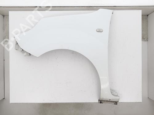 left-front-fenders-renault-kangoo-express-fw01_-2008-40058269 main image