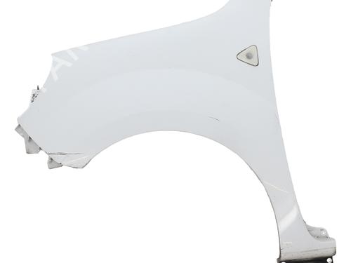 Used Left front fenders RENAULT KANGOO Express (FW0/1_) 1.5 dCi 70 (FW0A, KW0V) (68 hp) 26703325