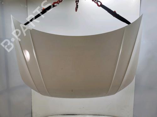 Motorhjelm VW TIGUAN (AD1, AX1) 2.0 TDI (150 hp) 30917729