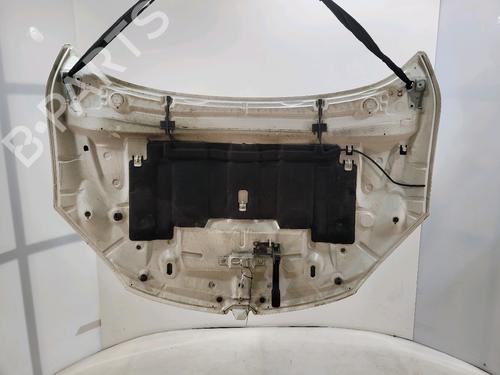 Hood RENAULT MEGANE III Hatchback (BZ0/1_, B3_) 1.9 dCi (BZ0N, BZ0J) | BP29553134C1 