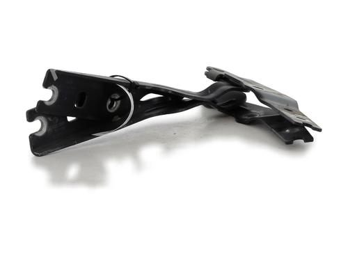 Hinge/Door check strap VW GOLF VII (5G1, BQ1, BE1, BE2) 2.0 TDI | BP27907717C146 