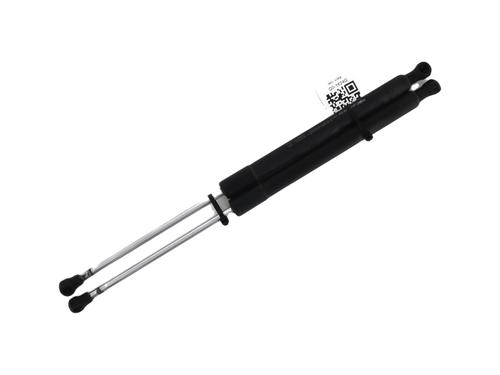 Gassdemper Bakluke RENAULT CLIO III (BR0/1, CR0/1) 1.2 16V (BR02, BR0J, BR11, CR02, CR0J, CR11) (75 hp) 28536315