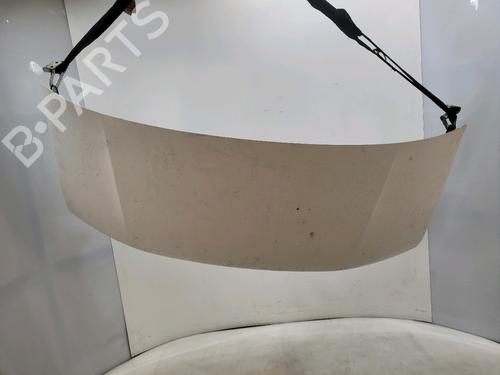 Motorhaube für RENAULT MASTER II Van (FD) 2.2 dCI 90 (FD0G, FD0N, FD2G, FD2N, FD3G, FD3N) (90 hp) 31367765