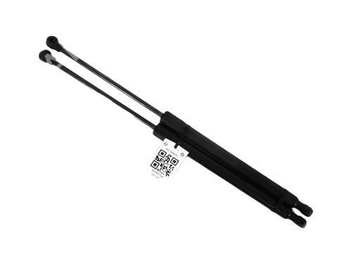 Used Tailgate lift support CITROËN C4 III (BA_, BB_, BC_) ë-C4 (BCZKWC) (156 hp) 28177583