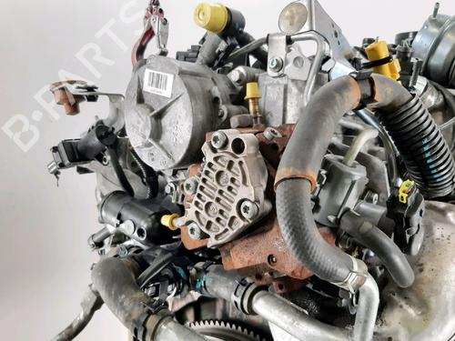 Engine RENAULT KOLEOS I (HY_) 2.0 dCi 4x4 (HY0B) | BP32039511M1 