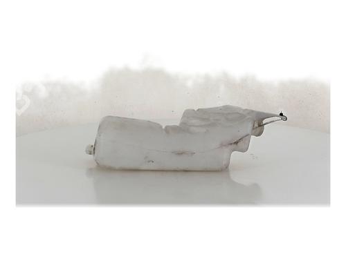 Used Windscreen washer tank RENAULT CLIO III (BR0/1, CR0/1) 1.5 dCi (BR17, CR17) (86 hp) 30842387