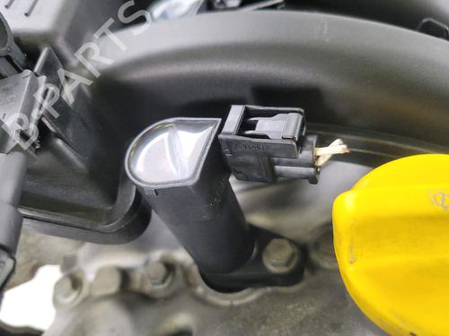 Engine RENAULT CLIO II (BB_, CB_) | BP28835686M1