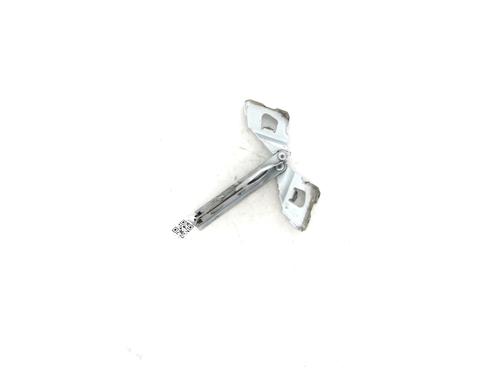 Used Hinge/Door check strap AUDI A4 B8 Avant (8K5) 2.0 TDI (136 hp) 27900326