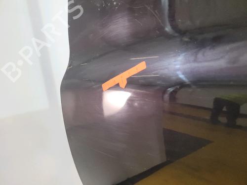 Left front door NISSAN MICRA III (K12) 1.5 dCi | BP25983932C2