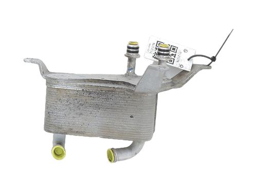 Used Oil radiator FORD RANGER (TKE) 2.0 EcoBlue 4x4 (213 hp) 31031974