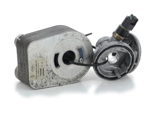 Støtte RENAULT KANGOO Express (FW0/1_) 1.5 dCi 70 (FW0A, KW0V) (68 hp) 25831564