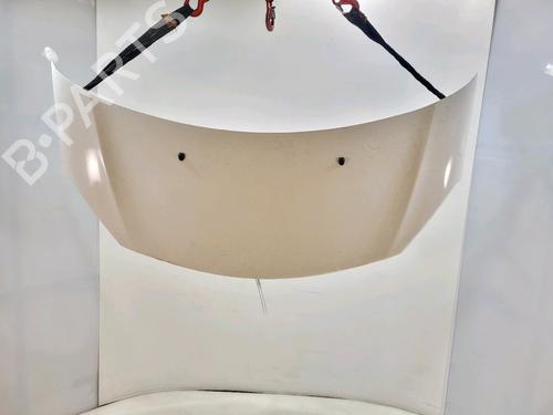 Used Hood CITROËN C3 II (SC_) 1.1 i (60 hp) 31607043