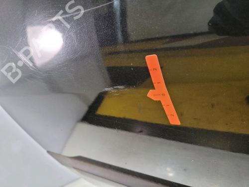 Left rear door RENAULT MEGANE II (BM0/1_, CM0/1_)  | BP26189801C4 