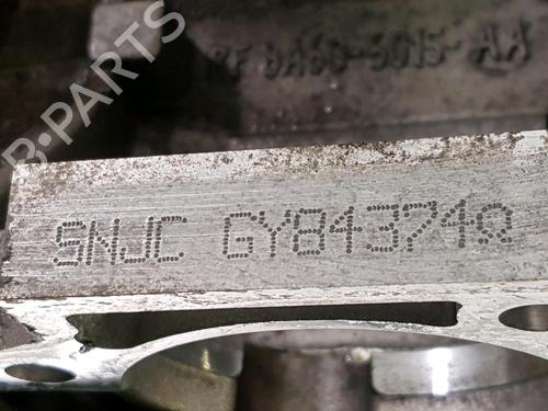 Motor FORD FIESTA VI (CB1, CCN) 1.25 | BP30653524M1