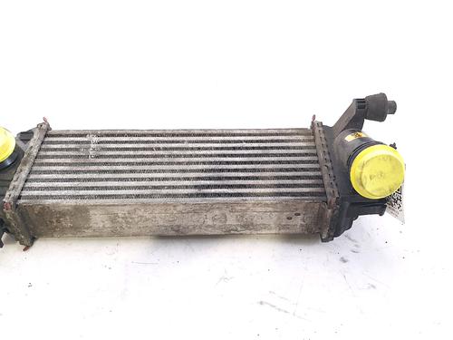 Used Intercooler MERCEDES-BENZ CITAN Box Body/MPV (W415) 109 CDI (415.601, 415.603, 415.605) (90 hp) 29517508