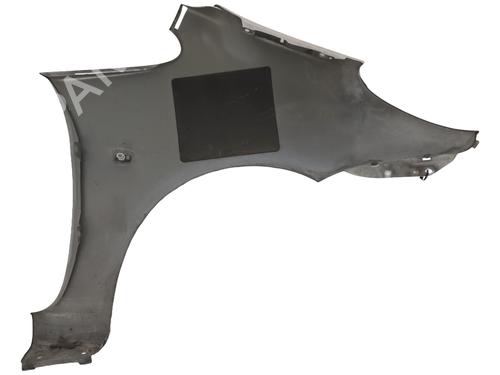 Left front fenders CITROËN XSARA PICASSO (N68) 2.0 HDi | BP27490781C41 
