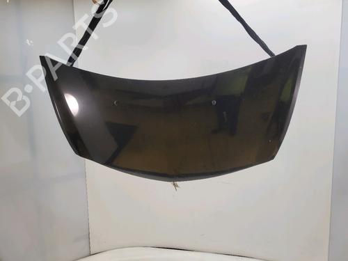 Used Hood RENAULT CLIO III (BR0/1, CR0/1) 1.5 dCi (C/BR0G, C/BR1G) (68 hp) 30632216