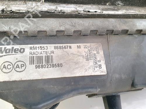 Water radiator PEUGEOT 207 (WA_, WC_) 1.4 | BP29701735M31